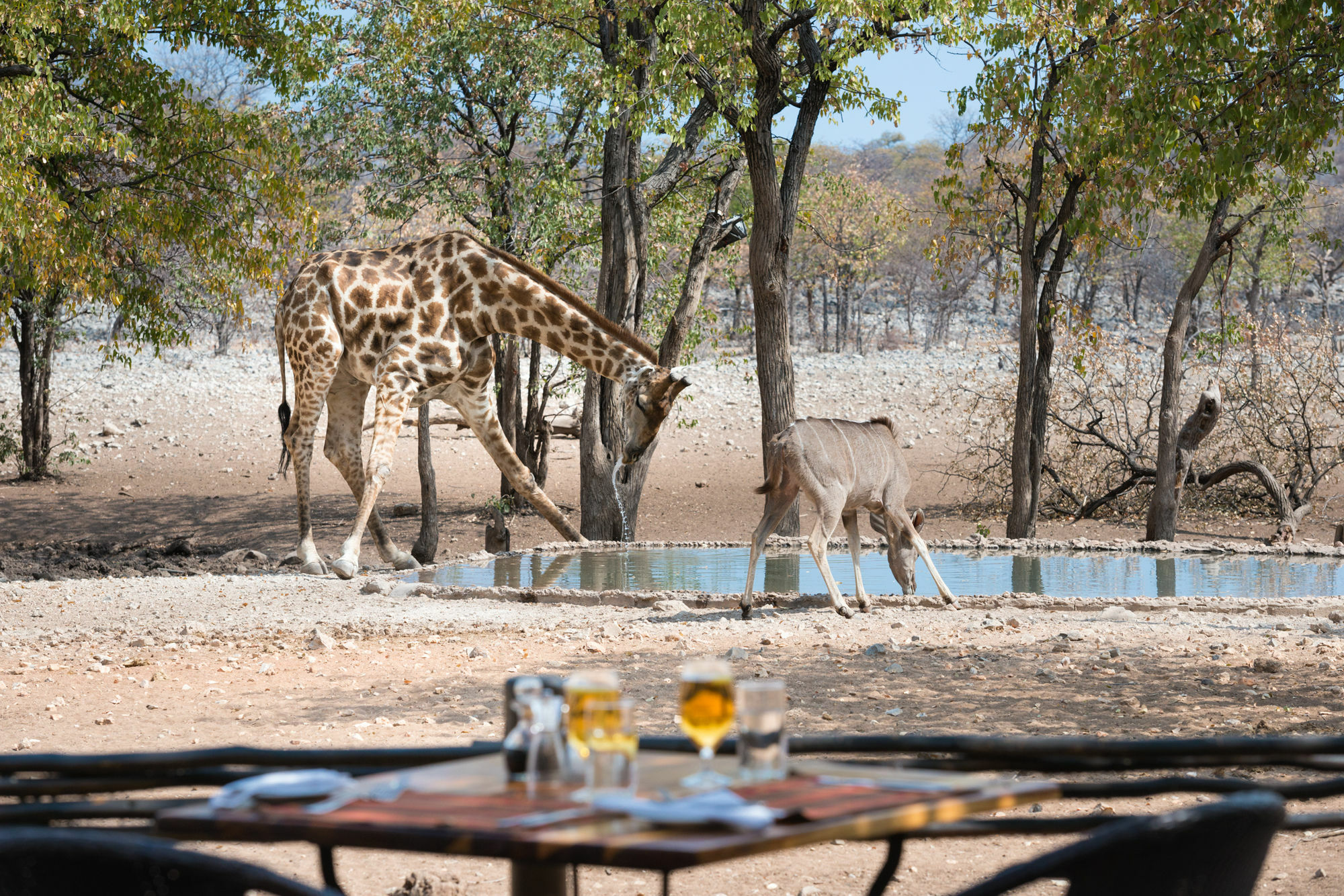 Ongava Tented Camp - All-Inclusive 奥考奎约 外观 照片