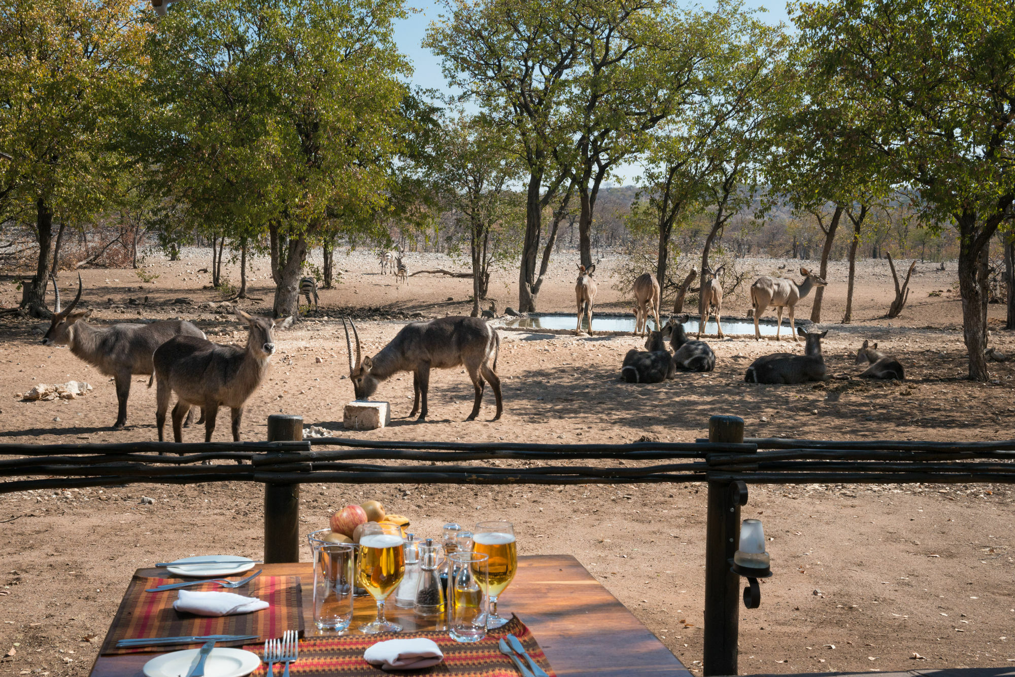 Ongava Tented Camp - All-Inclusive 奥考奎约 外观 照片
